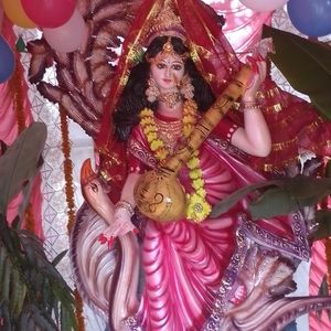 Meet your Posher, Rakesh